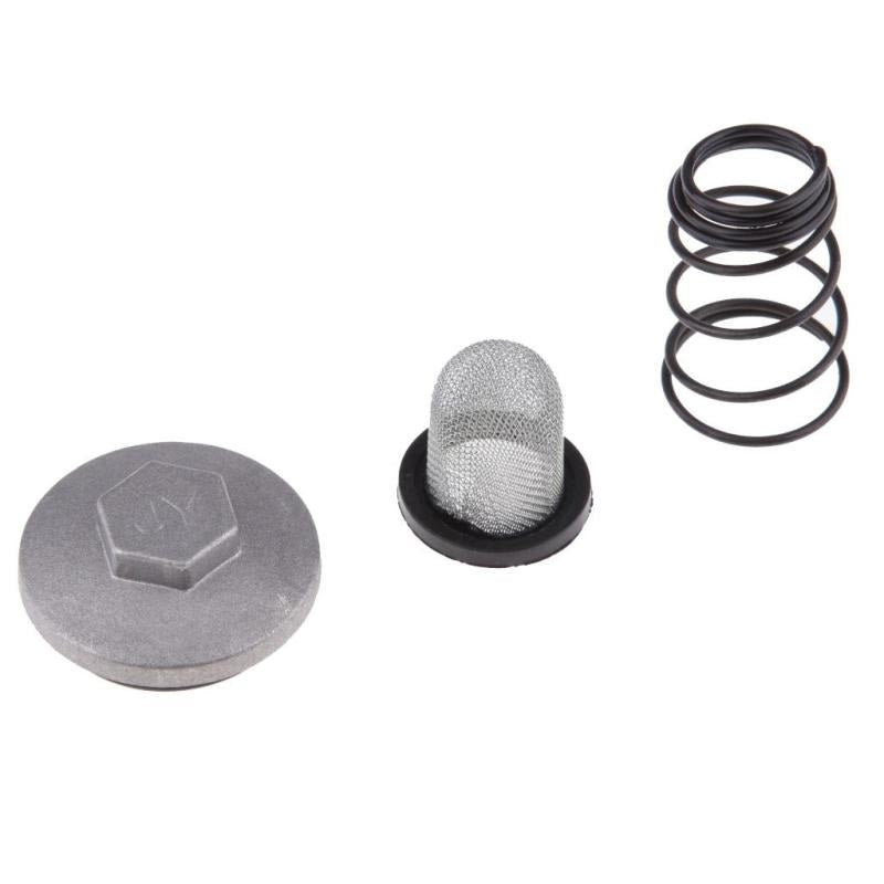 Oil Nut Spring for Hero Karizma ZMR – Bike Spares